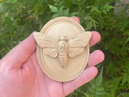 Framed Death’s Head Hawk Moth – Wall Plaque
