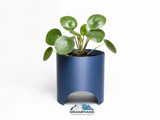 Arched Self-Watering Planter (150mm / 6in)