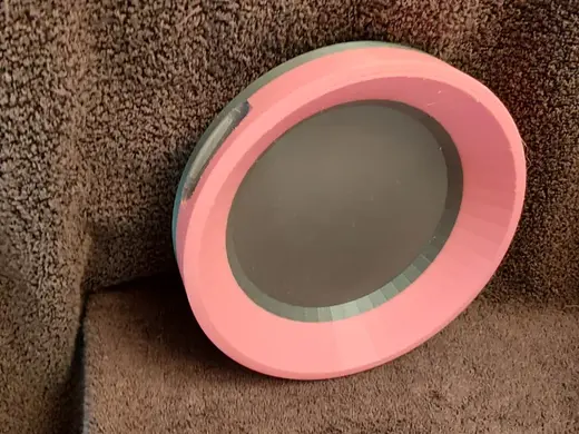 Fido Bowl