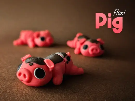 Flexi Pig