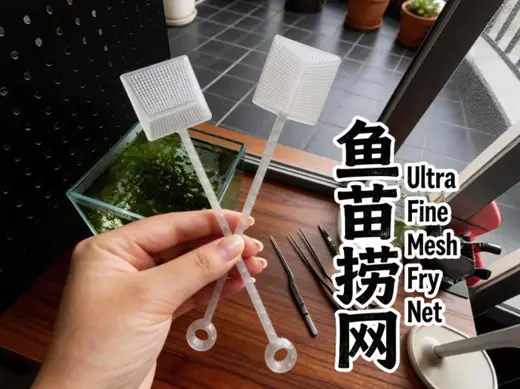《鱼苗捞网》超细网孔<1mm | 捞鱼苗、虾苗的一把好网 | 一体免支撑