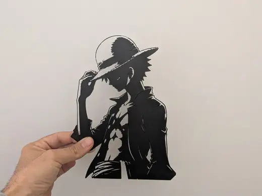“L’Ombra del Re dei Pirati” luffy