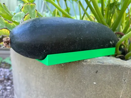 Zucchini and Cucumber Cradle