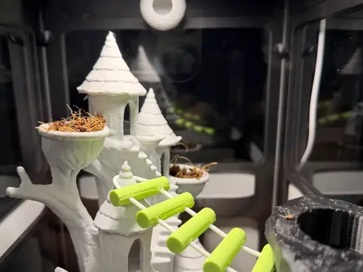 XL Jumping Spider Terrarium