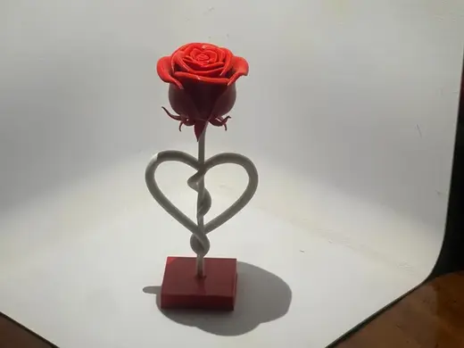 Rosa San Vallentino