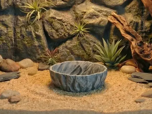 Terrarium Natural Rock Textured Reptile Water Bowl
