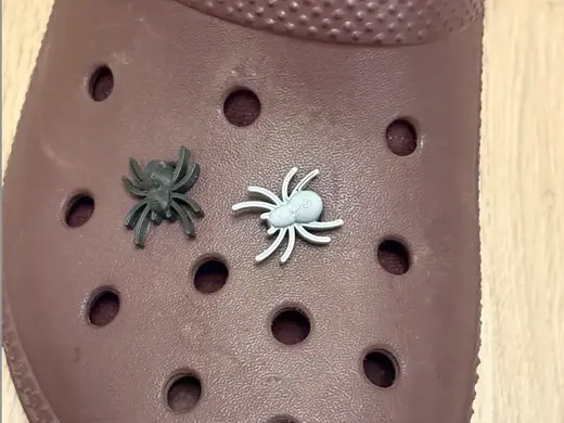 Spider halloween croc charm