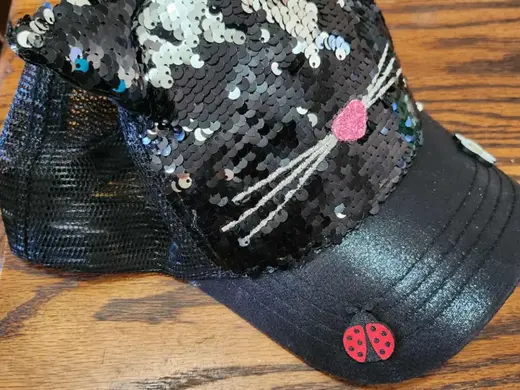 Lady bug pin