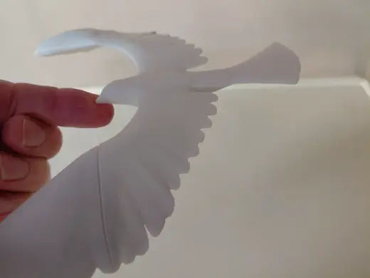 Center Of Gravity Bird