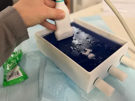 IV Ultrasound Trainer and Seek and Find
