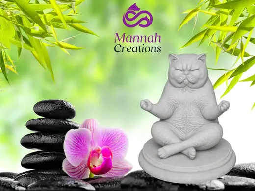 Zen Cat - Exotic Shorthair