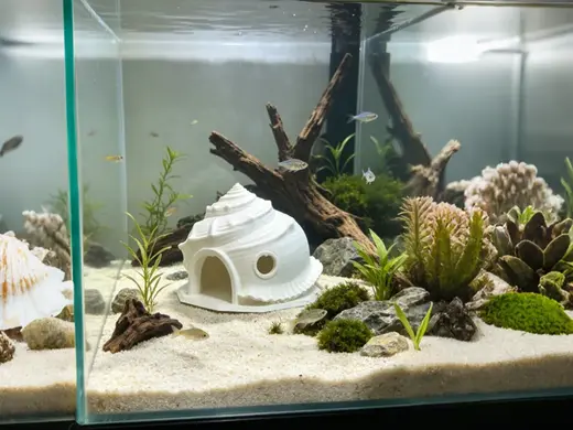 鱼缸造景 小鱼躲避屋 海螺屋造型 鱼缸置景 装饰