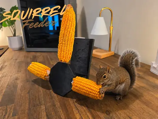 Squirrel corn feeder