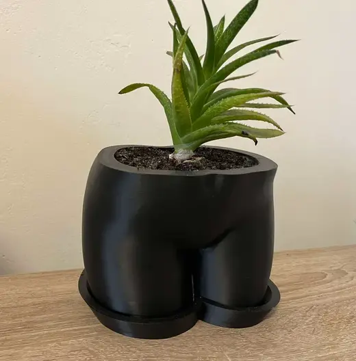 Woman plant pot