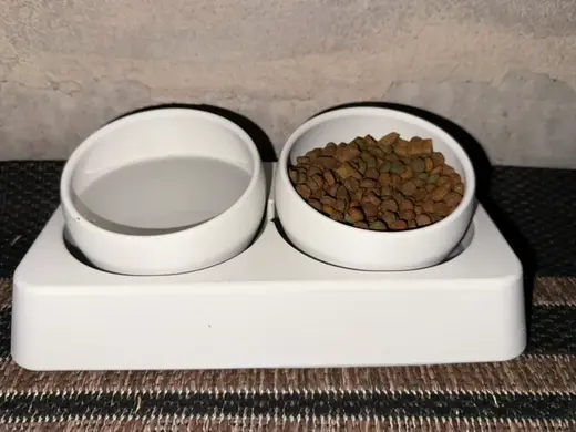 Ant-Proof Cat & Dog Bowl — No More Wasted Food