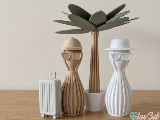 Modern Stylized Honeymoon Couple & Luggage