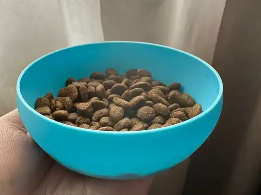 Cat Food Low Bowl