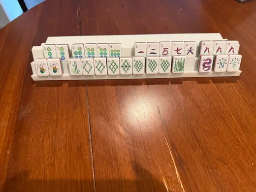 Magnetic Travel Double Siamese Mahjong Rack