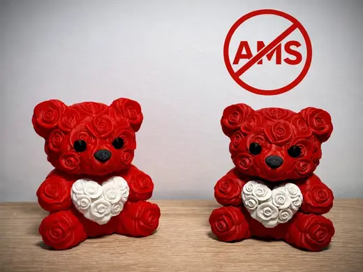 Valentine Rose Bear