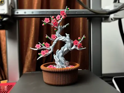 国风梅花