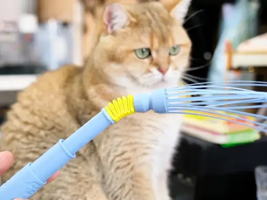 Stretchable Cat Teaser Wand Toy 2