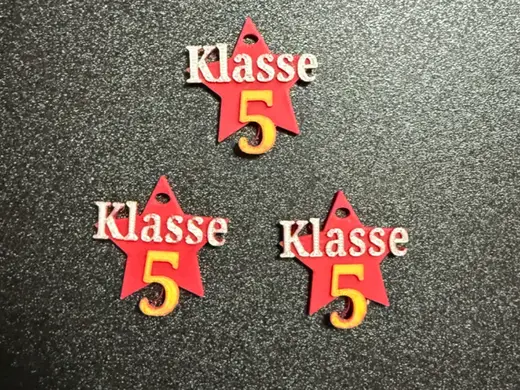 Anhänger , Button Klasse 5