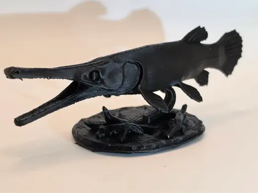 Alligator Gar – Dark Prehistoric Predator Pike