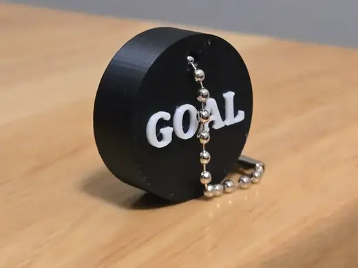 Hockey Puck Goal Reward Bag Tag