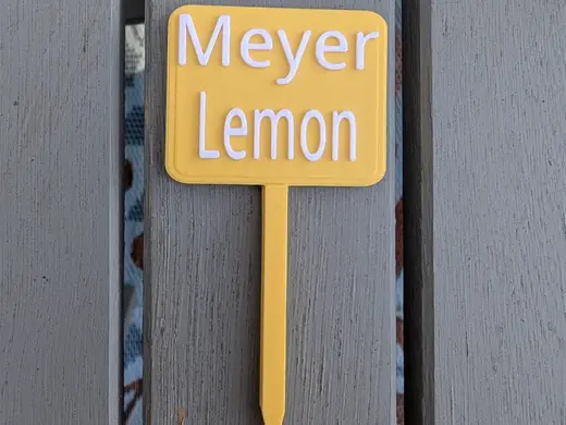 Citrus Plant Label–Meyer Lemon Tree Garden Marker