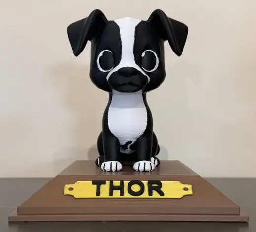 Thor: Tu Mascota en un Modelo Personalizable