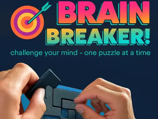 BrainTease: A Puzzle A Day