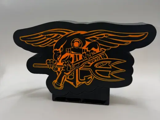 Navy Seal Warfare Pin Light Box