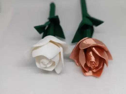 Valentine's Day Rose Multi color no AMS