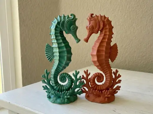 Elegant Seahorse on Coral Reef