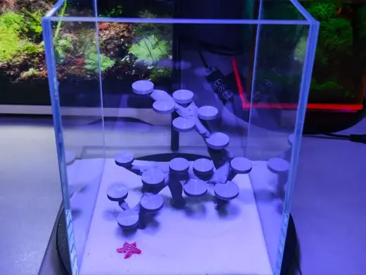 15cm海缸造景骨架(二)