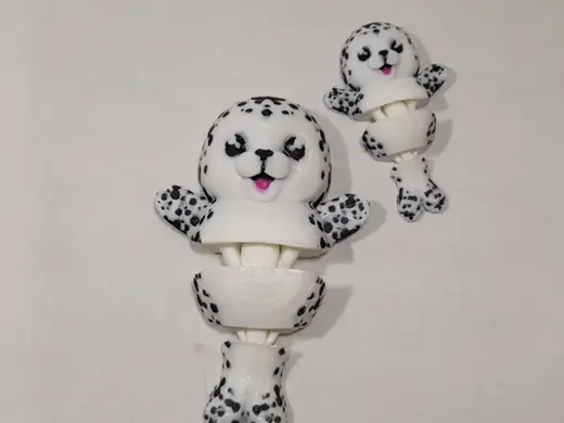 cute spotted seal