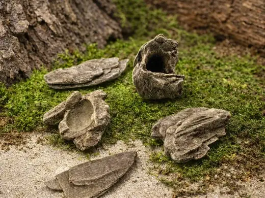 Springspinnen Set ( Little Rocks )