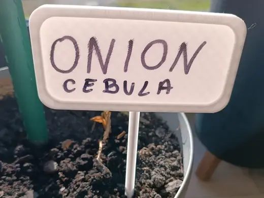 Garden Bed Name Tags – Plant Markers