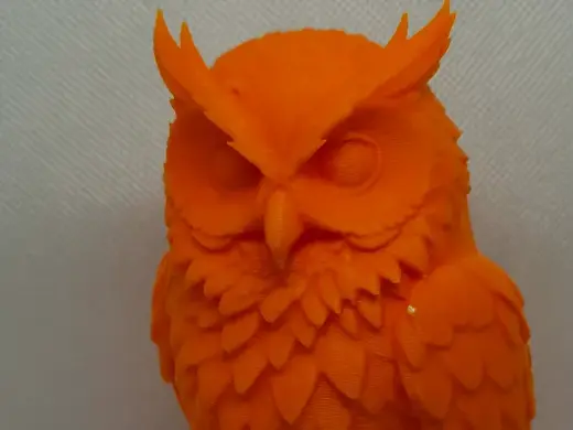 the great horned owl