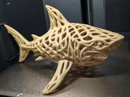 Voronoi Lattice Shark