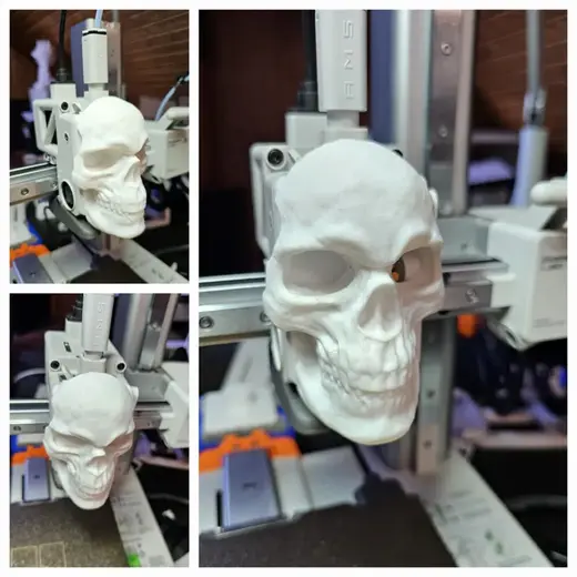Front Cover A1 and A1 Mini Skull