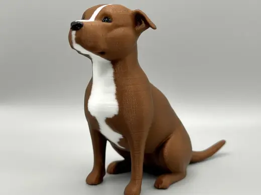 Pitbull Model