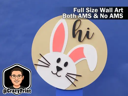 Peek-a-boo Bunny "HI" easter Wall Art /Sign No AMS
