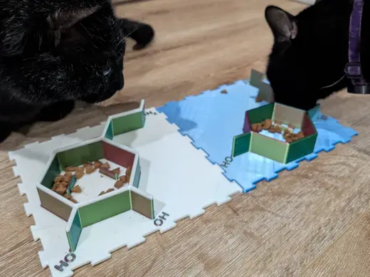 Curious Paws - Molecule Food Bowls