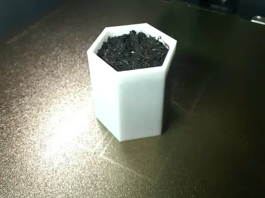 pot hexagonal semis