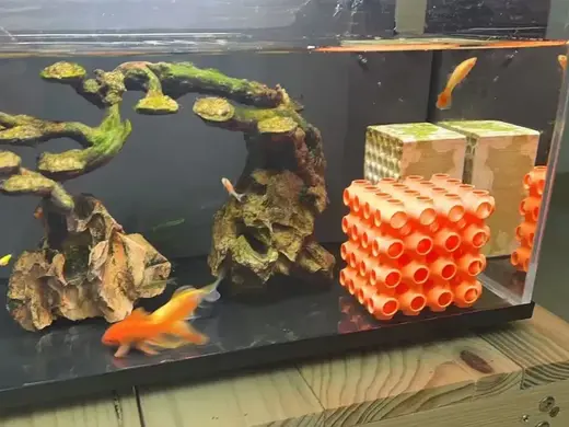 鱼缸鱼虾躲避屋