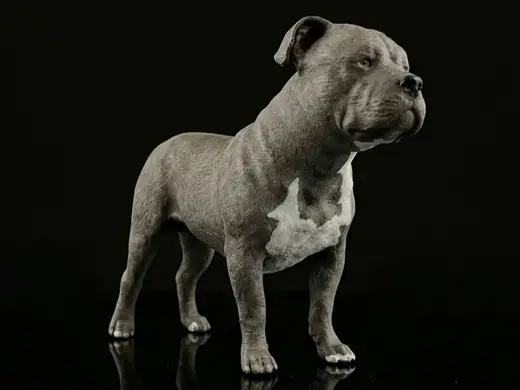 American Staffordshire Terrier (Painted Miniature)