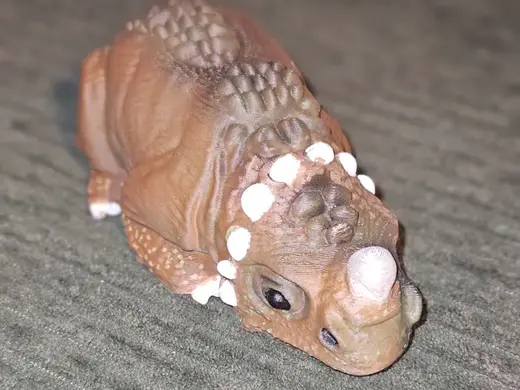Winston the Baby Dino