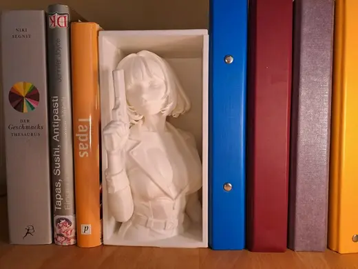 Sagittarius (Shooter) - A Zodiac Book Nook