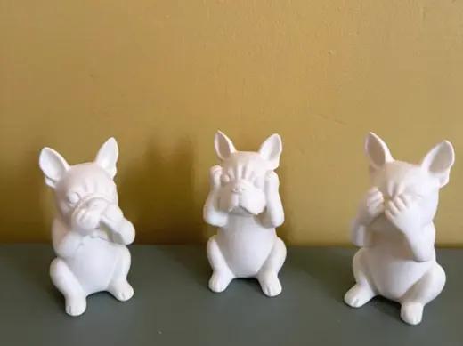 Bulldog je ne vois rien,ne dis rien n'entant rien